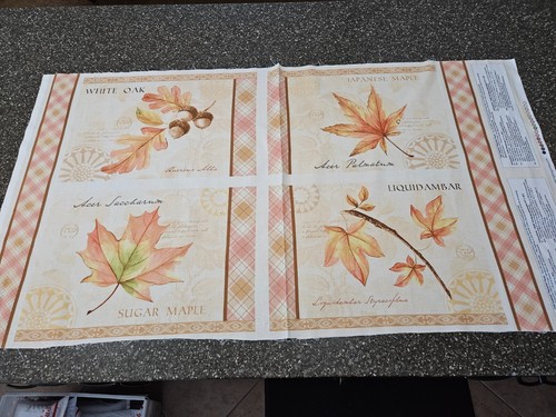 Fall festival placemat panel - fall,